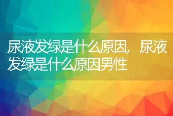 尿液发绿是什么原因