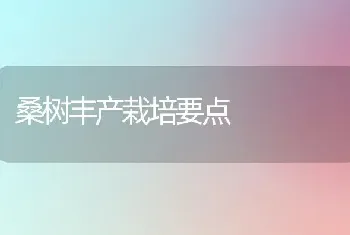 桑树丰产栽培要点