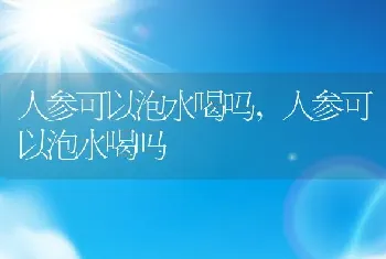 人参可以泡水喝吗