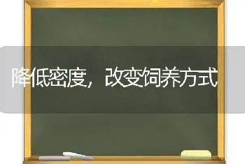 降低密度,改变饲养方式