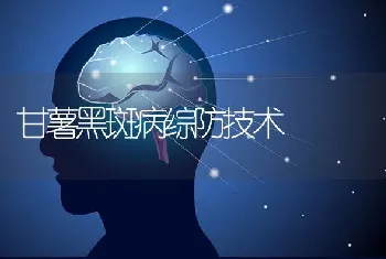 甘薯黑斑病综防技术