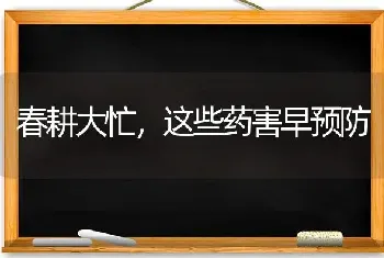 春耕大忙,这些药害早预防