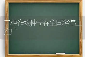 三种作物种子在全国将停止推广