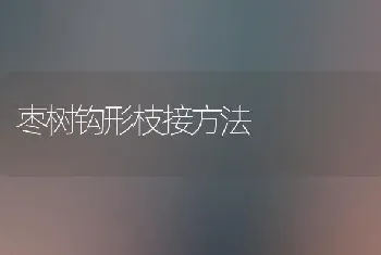 蓝莓蛴螬的危害及防治