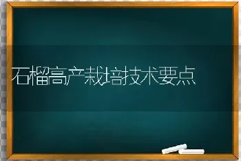 石榴高产栽培技术要点