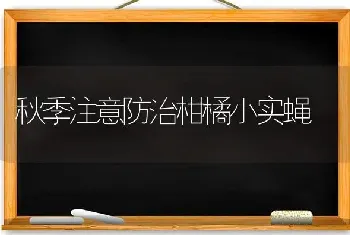 秋季注意防治柑橘小实蝇