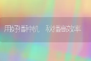 用好播种机 秋播高效率