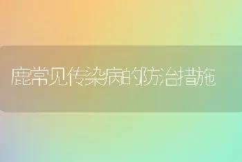 鹿常见传染病的防治措施