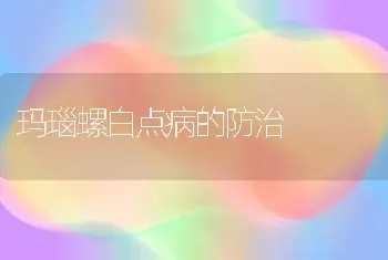 玛瑙螺白点病的防治