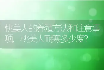 桃美人的养殖方法和注意事项