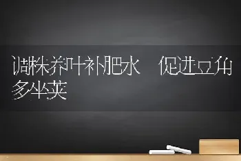 调株养叶补肥水 促进豆角多坐荚