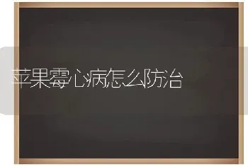 冰糖橘的嫁接方法有哪些