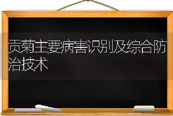 贡菊主要病害识别及综合防治技术