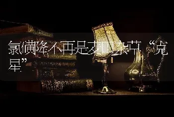 氯磺隆不再是麦田杂草“克星”