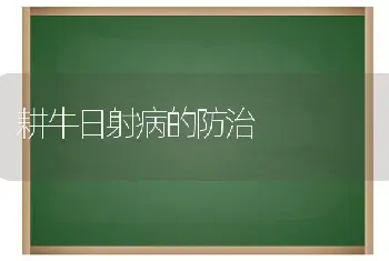 耕牛日射病的防治