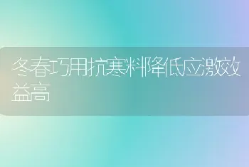 冬春巧用抗寒料降低应激效益高