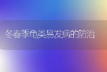 冬春季龟类易发病的防治