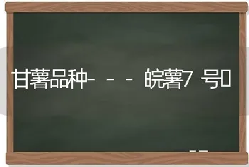 甘薯品种---皖薯7号