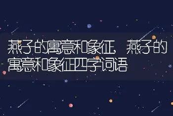 燕子的寓意和象征