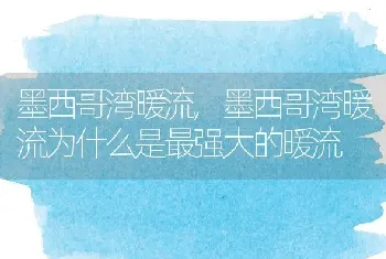 墨西哥湾暖流,墨西哥湾暖流为什么是最强大的暖流