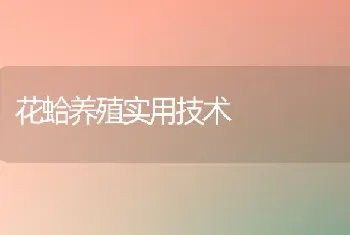 花蛤养殖实用技术