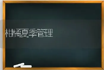 柑橘夏季管理