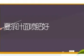 夏茶叶面喷肥好