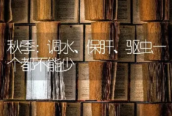 秋季：调水、保肝、驱虫一个都不能少