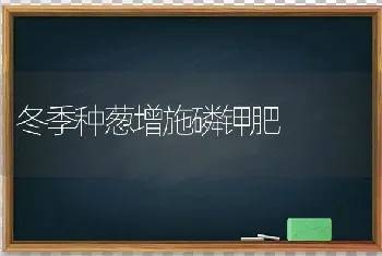 冬季种葱增施磷钾肥