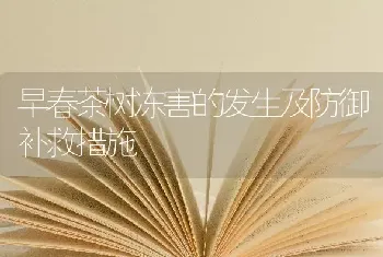 早春茶树冻害的发生及防御补救措施