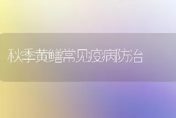 秋季黄鳝常见疫病防治