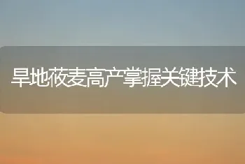 旱地莜麦高产掌握关键技术