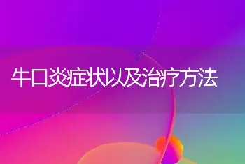 牛口炎症状以及治疗方法