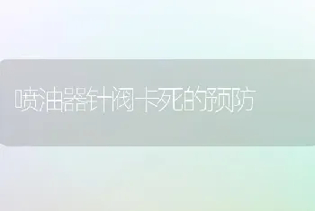 喷油器针阀卡死的预防