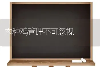 如何挑选大蒜种子