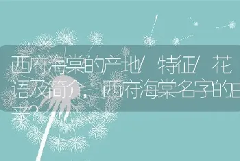 西府海棠的产地/特征/花语及简介