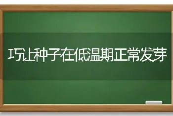 巧让种子在低温期正常发芽