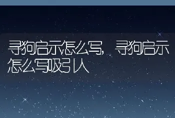 寻狗启示怎么写,寻狗启示怎么写吸引人