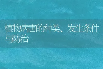 植物病害的种类、发生条件与防治