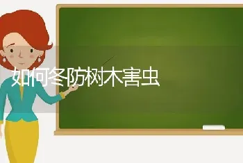 如何冬防树木害虫