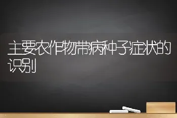 主要农作物带病种子症状的识别