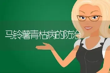 大蒜白腐病防治方法