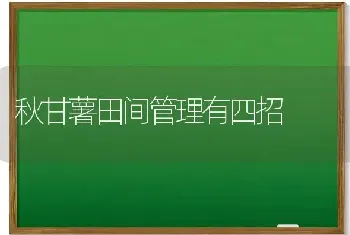 秋甘薯田间管理有四招