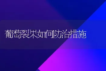 温室油桃扣棚后的管理