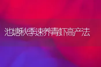 池塘秋季速养青虾高产法