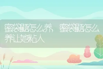 蜜袋鼯怎么养,蜜袋鼯怎么养让她粘人