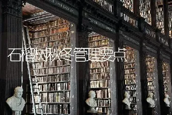 石榴树秋冬管理要点