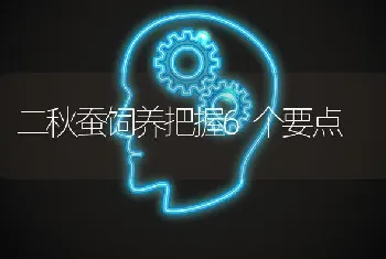 二秋蚕饲养把握6个要点