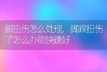 脚扭伤怎么处理,脚踝扭伤了怎么办能快速好