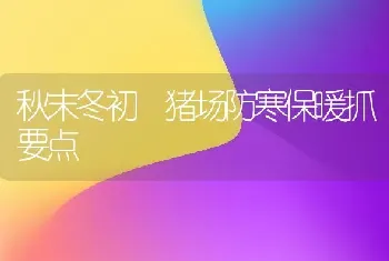 管理肉牛注意要点